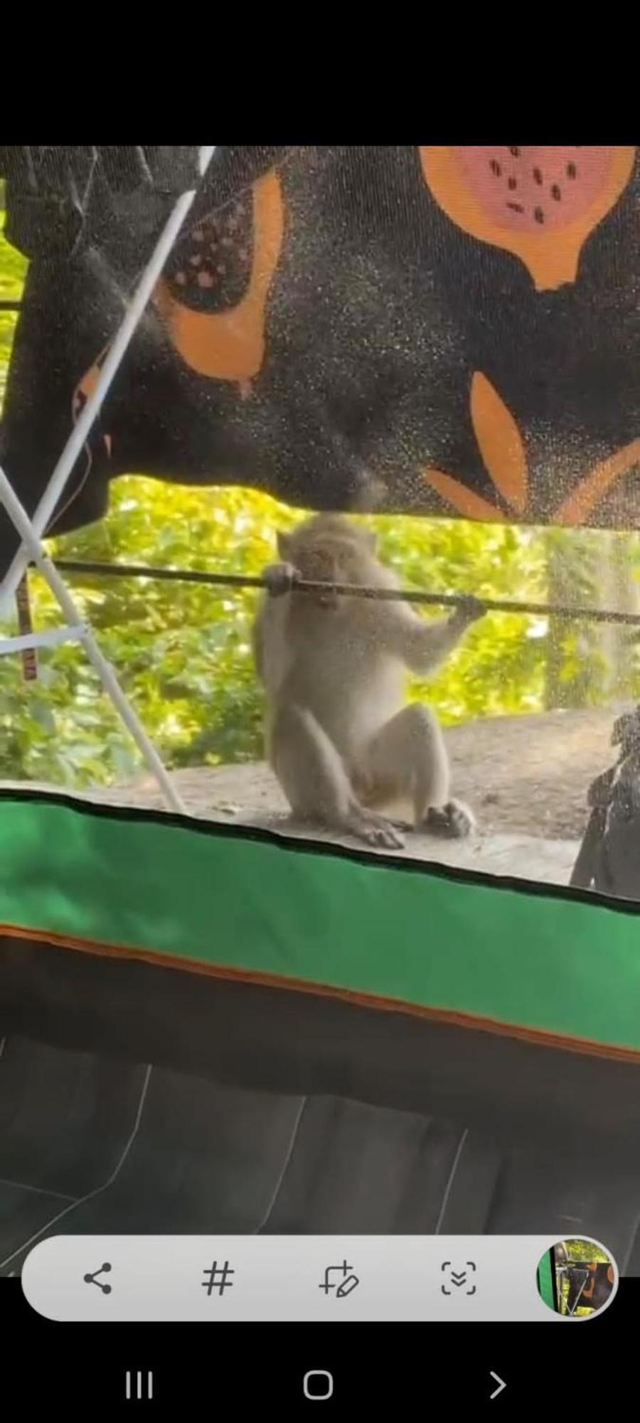 Joy Camping ハード・リン エクステリア 写真